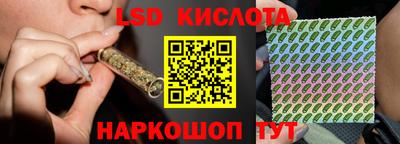 СК Шелехов