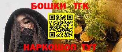 СК Шелехов