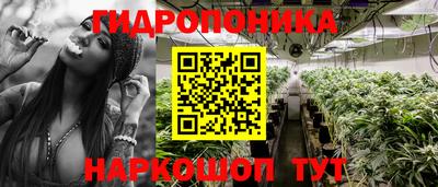 гидропоника Шебекино
