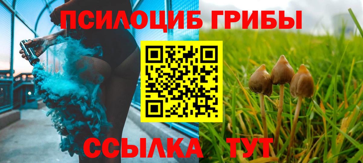 МЕФ кристаллы  Алексин  Где найти наркотики?  NBOMe  Мефедрон  Вход с VPN  МАРИХУАНА 
